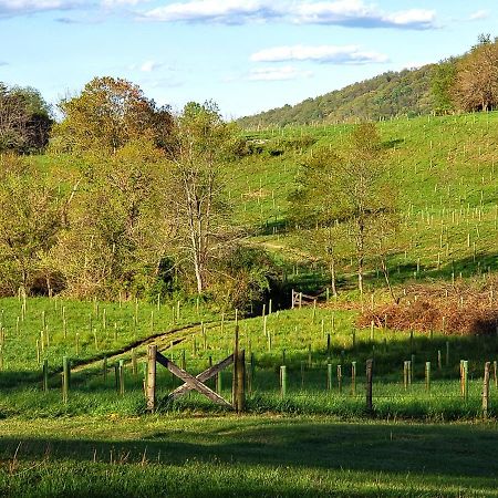 Villa Walnut Run Farm Woodville Exterior foto